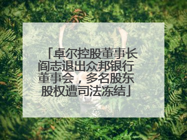 卓尔控股董事长阎志退出众邦银行董事会，多名股东股权遭司法冻结
