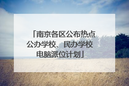 南京各区公布热点公办学校、民办学校电脑派位计划