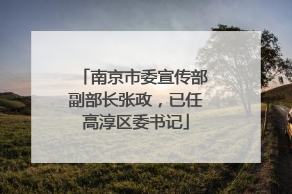 南京市委宣传部副部长张政，已任高淳区委书记