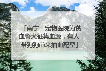 南宁一宠物医院为贫血警犬征集血源，有人带狗狗前来抽血配型