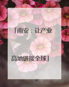 南安：让产业高地链接全球