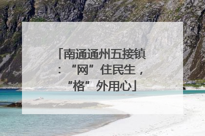 南通通州五接镇：“网”住民生，“格”外用心