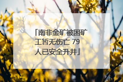 南非金矿被困矿工暂无伤亡 79人已安全升井