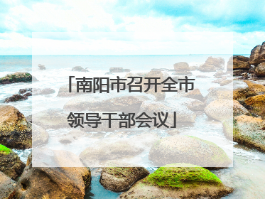 南阳市召开全市领导干部会议