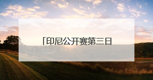 印尼公开赛第三日：国羽焦点战 石宇奇、李诗沣领衔