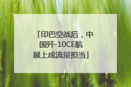 印巴空战后,中国歼-10CE航展上成流量担当
