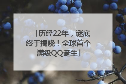 历经22年，谜底终于揭晓！全球首个满级QQ诞生
