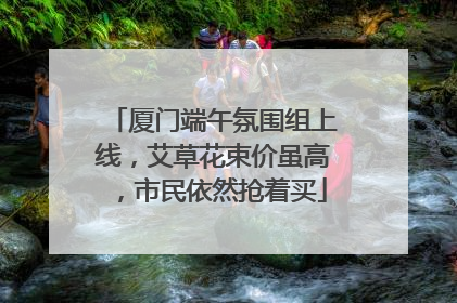 厦门端午氛围组上线，艾草花束价虽高，市民依然抢着买