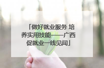 做好就业服务 培养实用技能——广西促就业一线见闻