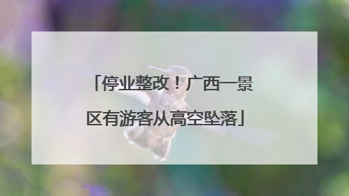 停业整改！广西一景区有游客从高空坠落