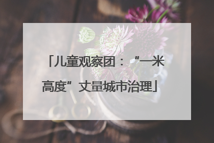 儿童观察团：“一米高度”丈量城市治理