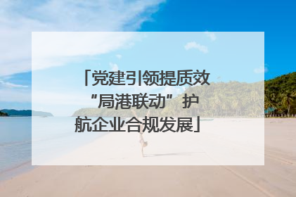 党建引领提质效 “局港联动”护航企业合规发展