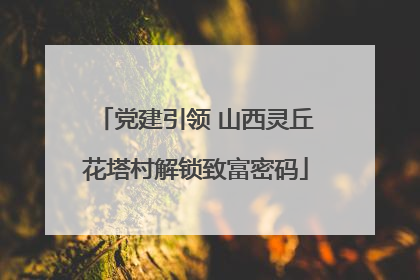 党建引领 山西灵丘花塔村解锁致富密码
