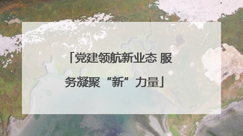 党建领航新业态 服务凝聚“新”力量