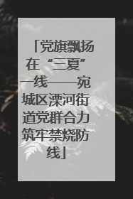 党旗飘扬在“三夏”一线——宛城区溧河街道党群合力筑牢禁烧防线