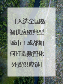 入选全国数智供应链典型城市！成都如何打造数智化外贸供应链