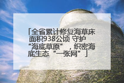 全省累计修复海草床面积938公顷 守护“海底草原”，织密海底生态“一张网”