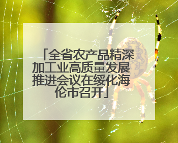 全省农产品精深加工业高质量发展推进会议在绥化海伦市召开