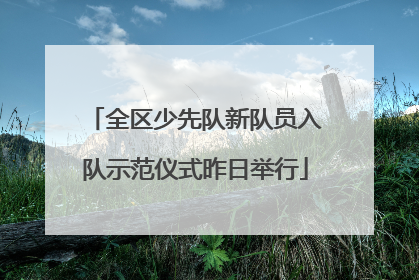 全区少先队新队员入队示范仪式昨日举行