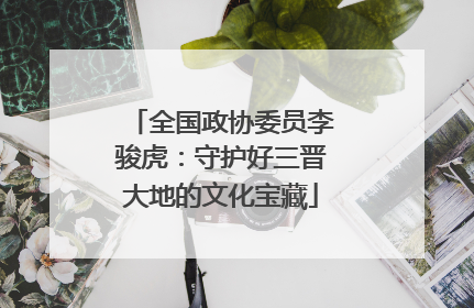 全国政协委员李骏虎：守护好三晋大地的文化宝藏