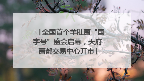 全国首个羊肚菌“国字号”盛会启幕，天府菌都交易中心开市
