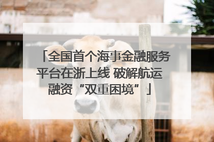 全国首个海事金融服务平台在浙上线 破解航运融资“双重困境”