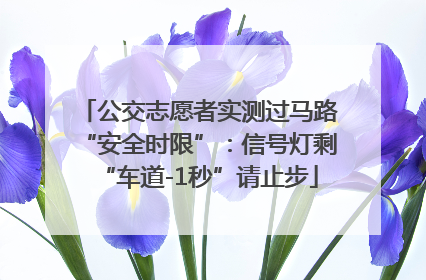 公交志愿者实测过马路“安全时限”：信号灯剩“车道-1秒”请止步