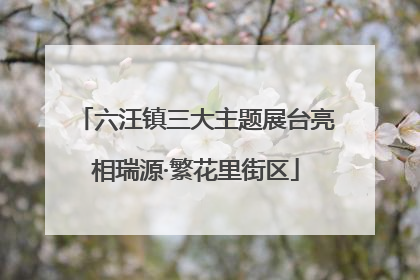 六汪镇三大主题展台亮相瑞源·繁花里街区