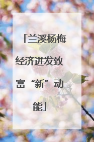 兰溪杨梅经济迸发致富“新”动能