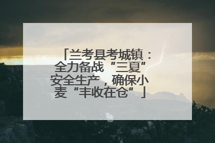 兰考县考城镇：全力备战“三夏”安全生产，确保小麦“丰收在仓”
