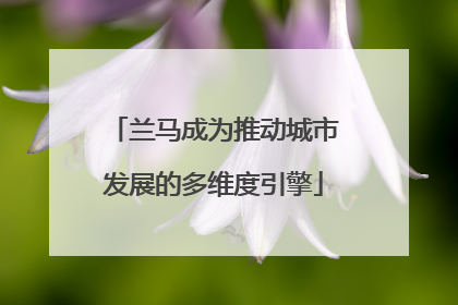 兰马成为推动城市发展的多维度引擎