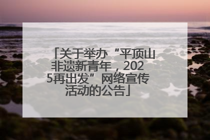 关于举办“平顶山非遗新青年，2025再出发”网络宣传活动的公告