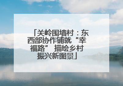 关岭围墙村：东西部协作铺就“幸福路” 描绘乡村振兴新图景