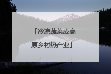 冷凉蔬菜成高原乡村热产业