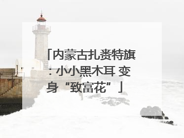 内蒙古扎赉特旗：小小黑木耳 变身“致富花”