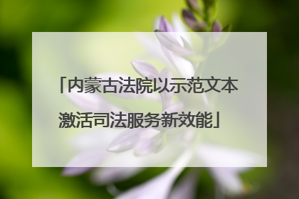 内蒙古法院以示范文本激活司法服务新效能