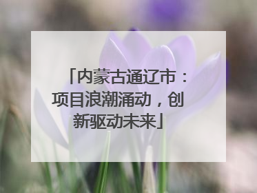 内蒙古通辽市：项目浪潮涌动，创新驱动未来
