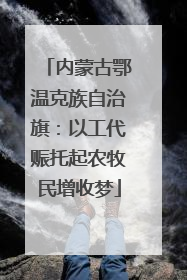内蒙古鄂温克族自治旗：以工代赈托起农牧民增收梦