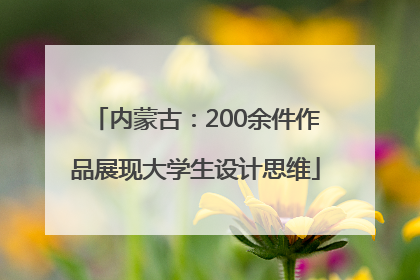 内蒙古：200余件作品展现大学生设计思维