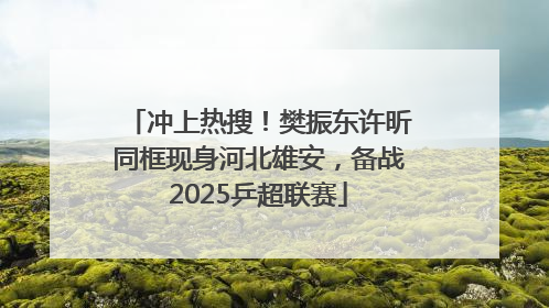 冲上热搜！樊振东许昕同框现身河北雄安，备战2025乒超联赛