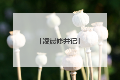 凌晨修井记