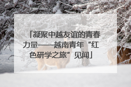 凝聚中越友谊的青春力量——越南青年“红色研学之旅”见闻