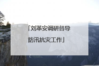 刘革安调研督导防汛抗灾工作