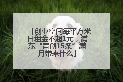创业空间每平方米日租金不超1元，浦东“青创15条”满月带来什么