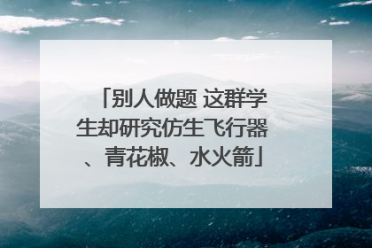 别人做题 这群学生却研究仿生飞行器、青花椒、水火箭