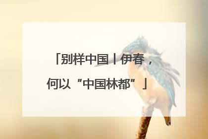 别样中国丨伊春，何以“中国林都”