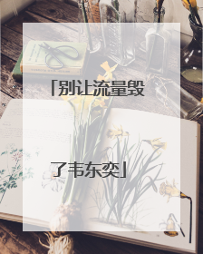 别让流量毁了韦东奕