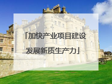 加快产业项目建设 发展新质生产力