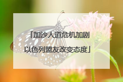 加沙人道危机加剧 以色列盟友改变态度