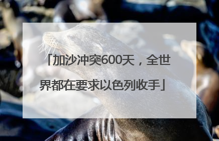 加沙冲突600天，全世界都在要求以色列收手